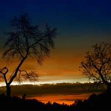 trees, viewes, sun, Sky, west