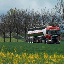 trees, Front Truck, Yellow, Flowers, viewes, Cistern