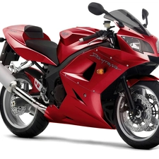 Red, Triumph Daytona 600