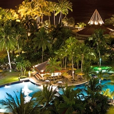 tropic, Palms, terrace, Pool, Hotel hall