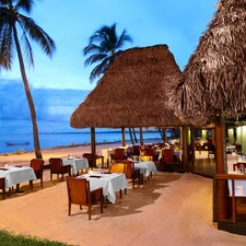 Restaurant, Ocean, tropic, Beaches