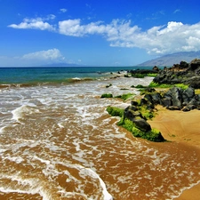 sea, Stones, tropic, Beaches