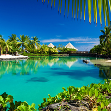 Tropical, Beaches, bridge, Palms, Gulf