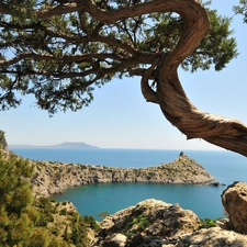 rocks, braided, trunk, sea