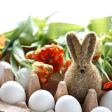 Easter, rabbit, Tulips, eggs