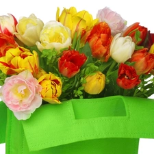 Green, color, Tulips, bag