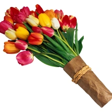 tulips, bouquet, multicolored