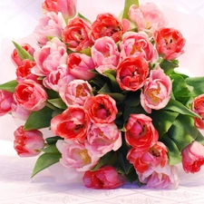 tulips, bouquet, pink