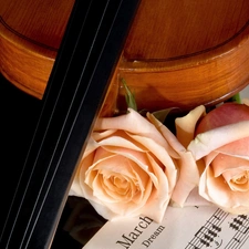 Tunes, violin, roses