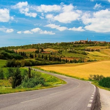 Tuscany, Italy, field, summer, Way