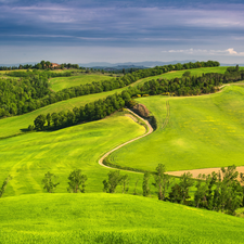 Tuscany, Italy, medows, woods, Way