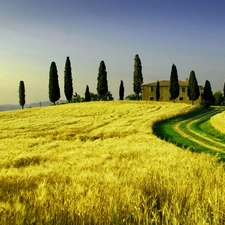 Italy, Tuscany