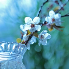trees, White, twig, vase, fruit, Flowers