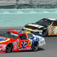Automobile, Nascar, Two cars