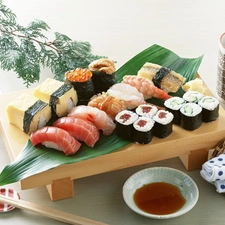 excellent, different, Types, Shushi
