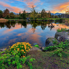 Stanley Park, City Park, lake, trees, Vancouver, Canada, Flowers, clouds, viewes