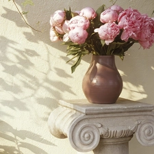 vase, Pink, Peonies