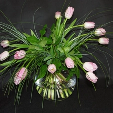 white and Pink, glass, vase, Tulips