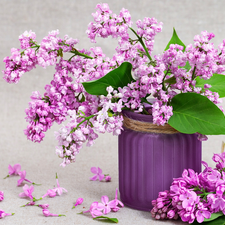 bouquet, Vase, Syringa, without, Flowers