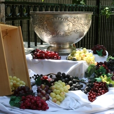 Grapes, Toyota Silver, vase