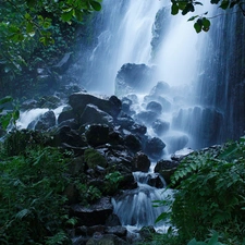 VEGETATION, waterfall, Green