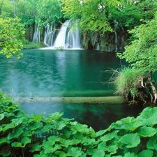 vegetation, waterfall, lake