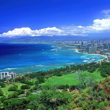 Ocean, quiet, Green, VEGETATION, Aloha State Hawaje