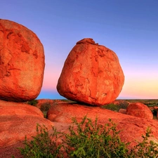 VEGETATION, Red, rocks