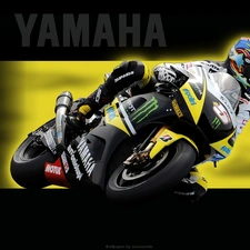 A track, Yamaha YZF R1, version