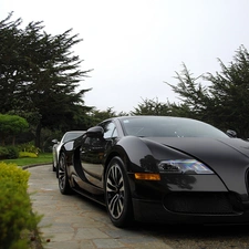 Black, Bugatti Veyron