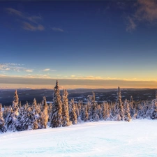 trees, winter, View, viewes