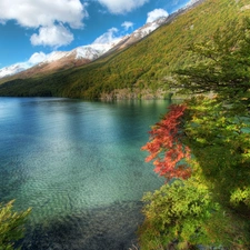viewes, Argentina, Mountains, trees, lake