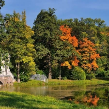 viewes, autumn, lake, trees, Park