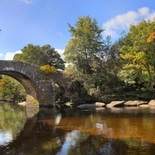 viewes, autumn, bridge, trees, River