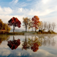 autumn, trees, viewes, lake