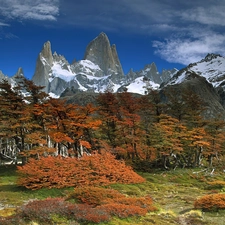 autumn, trees, viewes, Mountains