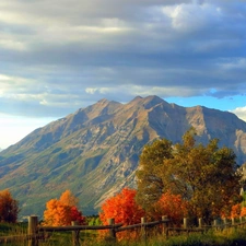 Way, Rocky, viewes, autumn, trees, Mountains