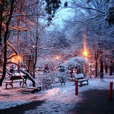 sun, trees, bench, luminosity, Przebijające, Park, viewes, winter, flash, ligh