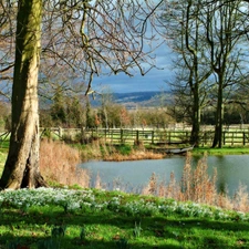 viewes, Boat, lake, trees, Spring