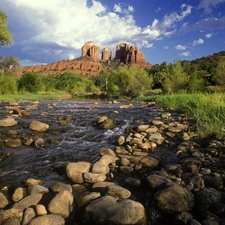 brook, trees, viewes, Stones