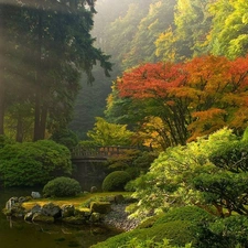 viewes, Bush, brook, trees, bridges