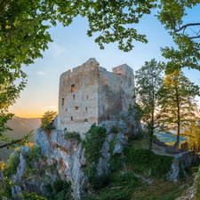 trees, viewes, Castle, ruins, Rocks