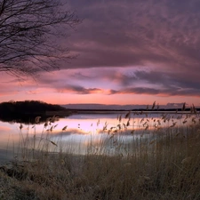 viewes, clouds, grass, trees, lake