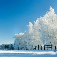 viewes, Fance, Field, trees, Snowy
