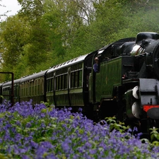 viewes, Flowers, locomotive, trees, Train