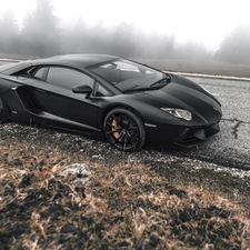 Way, Lamborghini, viewes, Fog, trees, Adventador