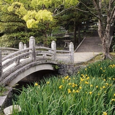 viewes, grass, Stairs, trees, bridge