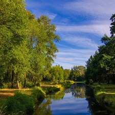 viewes, grass, River, trees, Park