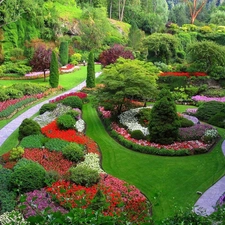 Flowers, Park, viewes, grass, trees, Gardens