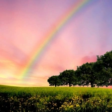 Meadow, trees, viewes, Great Rainbows